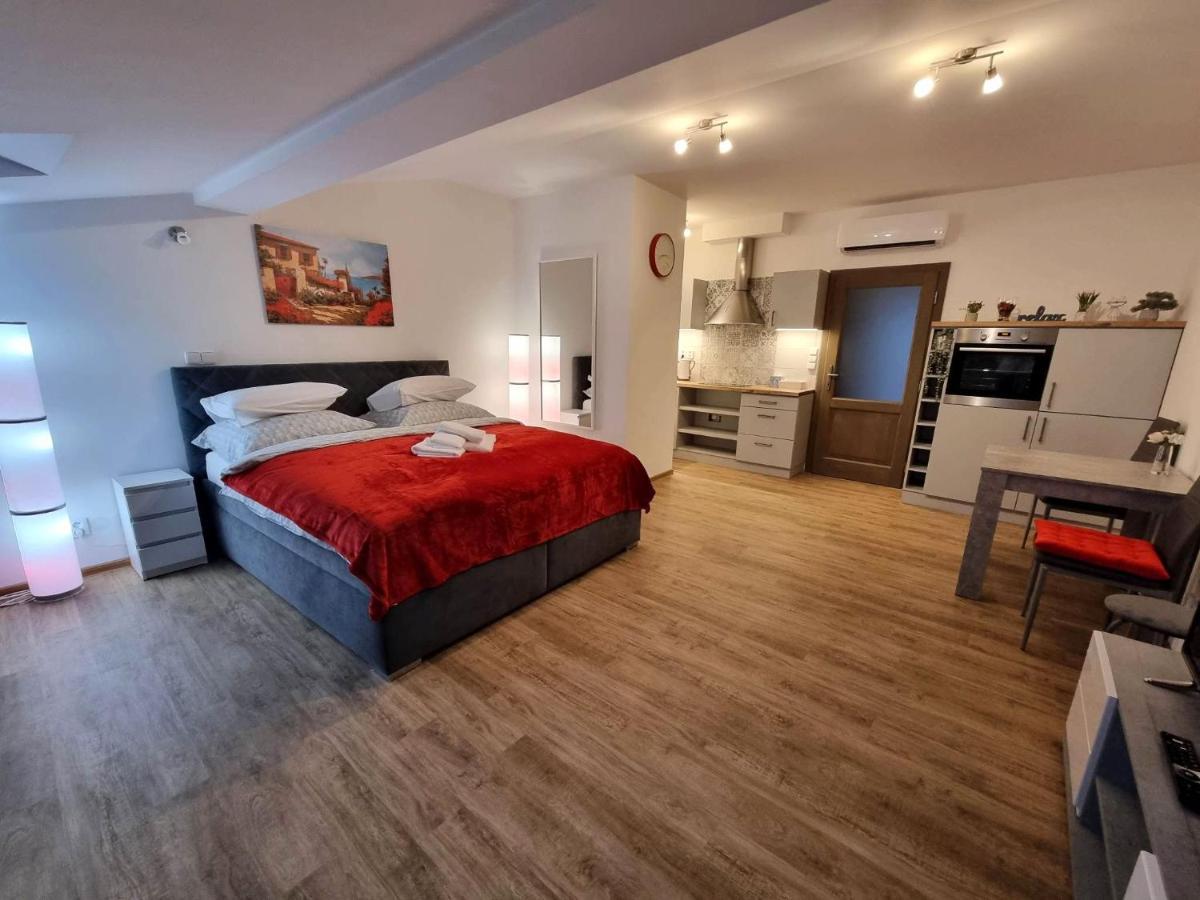 Podkrovni Studio Na Velkem Namesti S Wi-Fi Zdarma Hradec Králové Exteriör bild