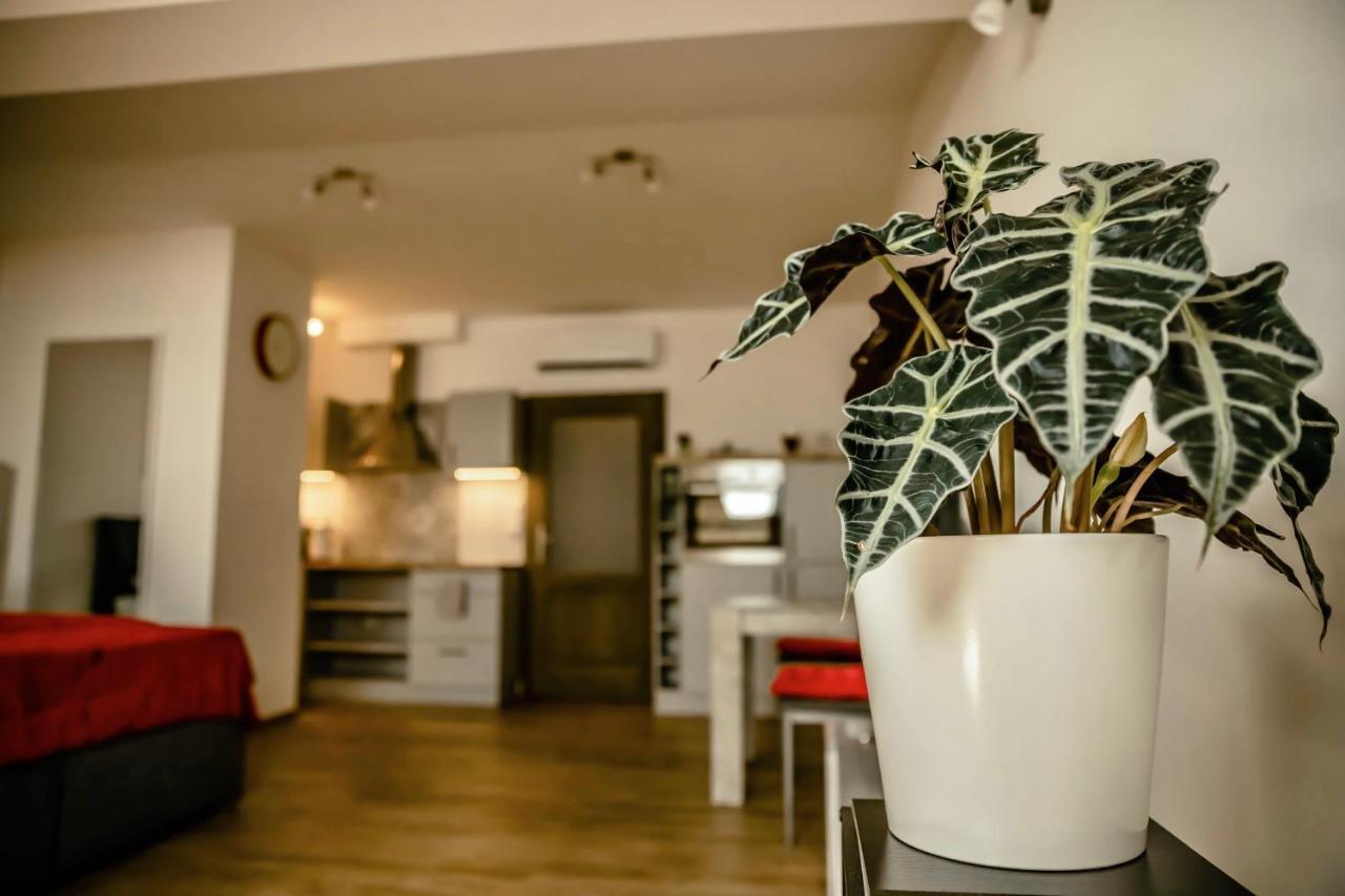 Podkrovni Studio Na Velkem Namesti S Wi-Fi Zdarma Hradec Králové Exteriör bild